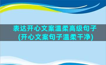 表达开心文案温柔高级句子(开心文案句子温柔干净)