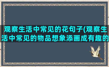 观察生活中常见的花句子(观察生活中常见的物品想象添画成有趣的形象)