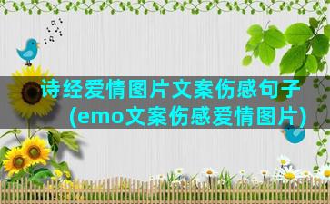 诗经爱情图片文案伤感句子(emo文案伤感爱情图片)