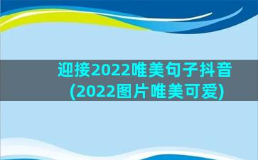 迎接2022唯美句子抖音(2022图片唯美可爱)