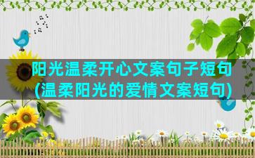 阳光温柔开心文案句子短句(温柔阳光的爱情文案短句)