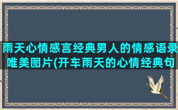 雨天心情感言经典男人的情感语录唯美图片(开车雨天的心情经典句子)