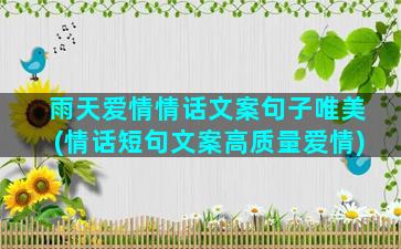 雨天爱情情话文案句子唯美(情话短句文案高质量爱情)