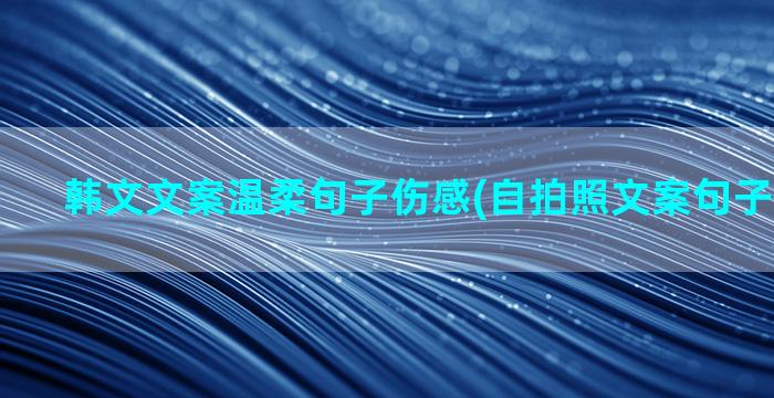 韩文文案温柔句子伤感(自拍照文案句子温柔干净)