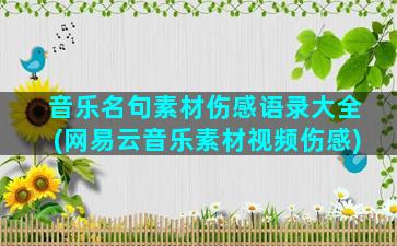 音乐名句素材伤感语录大全(网易云音乐素材视频伤感)